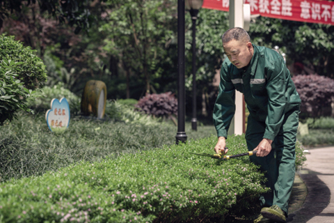 保洁绿化