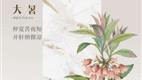 大暑 | 仲夏苦夜短 开轩纳微凉